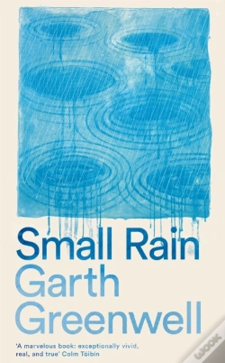 Capa do artigo Small Rain