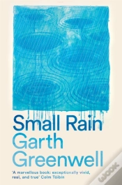 Capa do artigo Small Rain