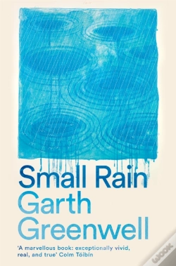 Capa do artigo Small Rain
