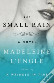 Capa do artigo Small Rain
