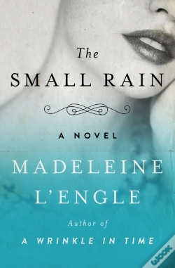 Capa do artigo Small Rain
