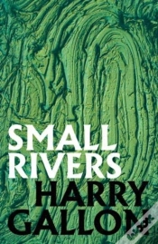 Capa do artigo Small Rivers