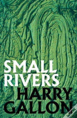 Capa do artigo Small Rivers