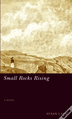 Capa do artigo Small Rocks Rising