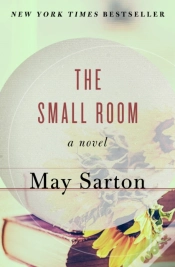 Capa do artigo Small Room