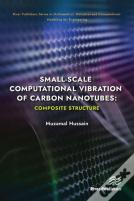 Small-Scale Computational Vibration Of Carbon Nanotubes: Composite Structure
