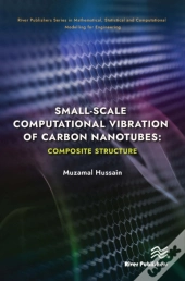 Small-Scale Computational Vibration Of Carbon Nanotubes: Composite Structure