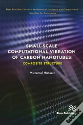 Small-Scale Computational Vibration Of Carbon Nanotubes: Composite Structure