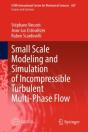 Small Scale Modeling And Simulation Of Incompressible Turbulent Multi-Phase Flow - Preview