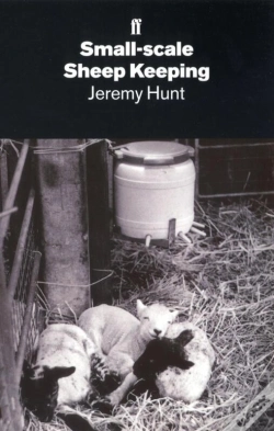 Capa do artigo Small-Scale Sheep Keeping