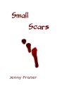 Small Scars - Preview