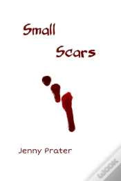Capa do artigo Small Scars