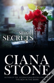 Capa do artigo Small Secrets