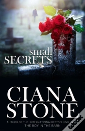 Capa do artigo Small Secrets