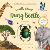 Capa do artigo Small, Shiny Dung Beetle
