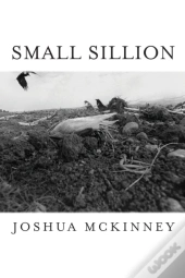 Small Sillion