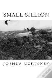 Capa do artigo Small Sillion