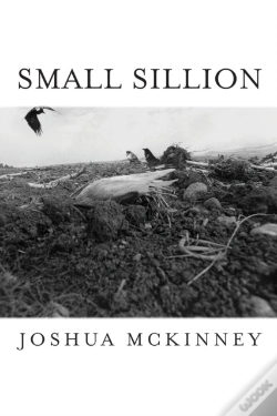 Capa do artigo Small Sillion
