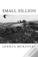 Small Sillion