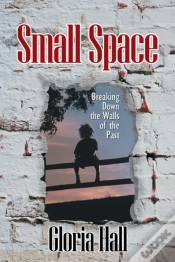 Capa do artigo Small Space
