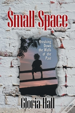 Capa do artigo Small Space