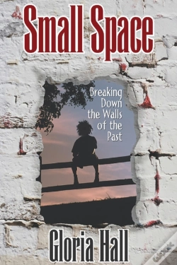 Capa do artigo Small Space