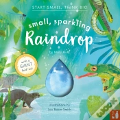 Capa do artigo Small, Sparkling Raindrop