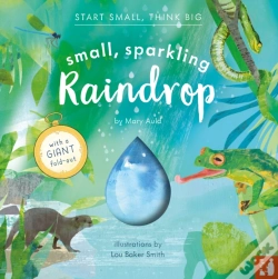 Capa do artigo Small, Sparkling Raindrop