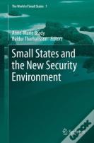 Small States And The New Security Environment