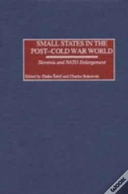 Capa do artigo Small States In The Post-Cold War World