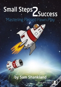 Capa do artigo Small Steps 2 Success