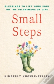Capa do artigo Small Steps