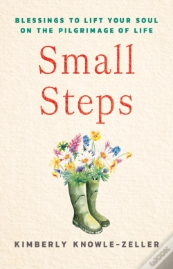 Capa do artigo Small Steps