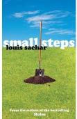 Small Steps