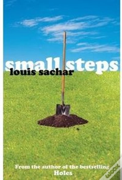 Capa do artigo Small Steps