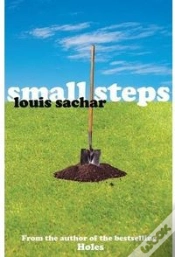 Capa do artigo Small Steps