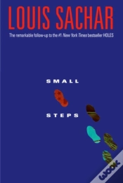 Capa do artigo Small Steps