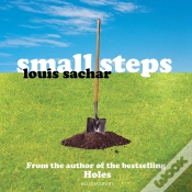 Capa do artigo Small Steps