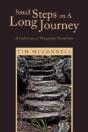 Small Steps On A Long Journey - Preview