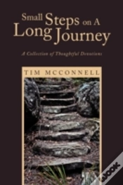 Capa do artigo Small Steps On A Long Journey