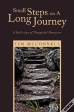 Capa do artigo Small Steps On A Long Journey