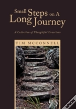 Capa do artigo Small Steps On A Long Journey