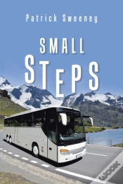 Capa do artigo Small Steps