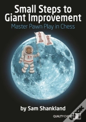 Capa do artigo Small Steps To Giant Improvement