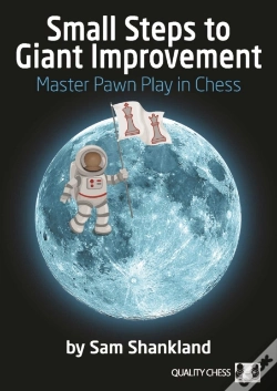 Capa do artigo Small Steps To Giant Improvement