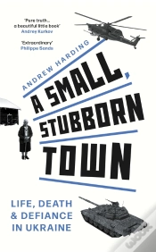 Capa do artigo Small, Stubborn Town