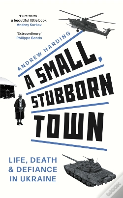 Capa do artigo Small, Stubborn Town