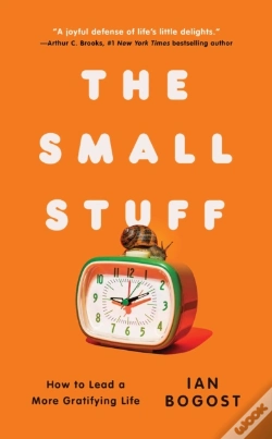 Capa do artigo Small Stuff