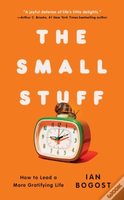 Capa do artigo Small Stuff