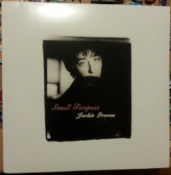 Capa do artigo Small Tempest - Vinil